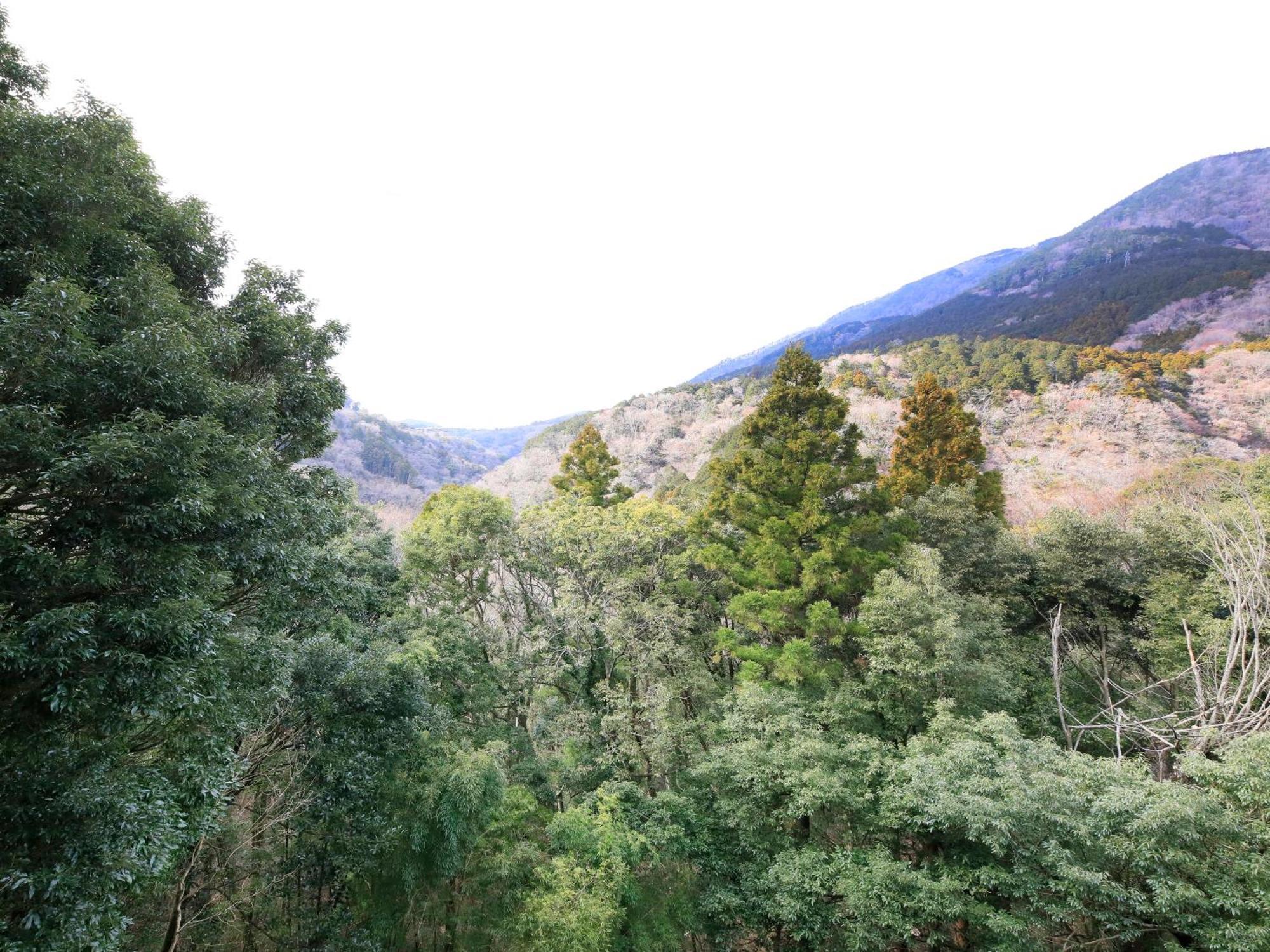 Hot Spring Inn Hakone Suisen 외부 사진