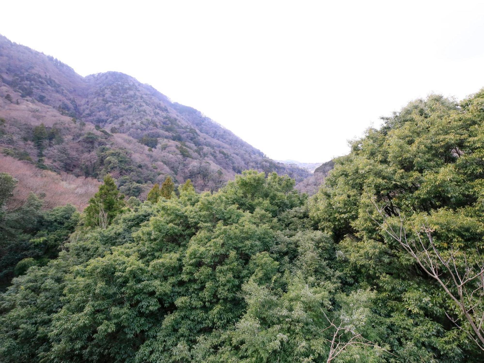 Hot Spring Inn Hakone Suisen 외부 사진